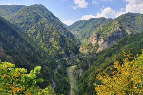 Transilvania: visita turística guiada de 2 días