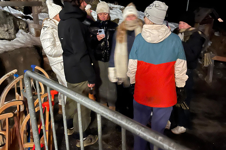 Interlaken: Night Sledding & Fondue Dinner with Guide