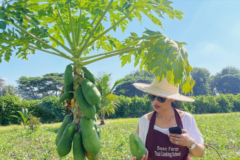 Expérience de cuisine thaïlandaise biologique à Chiang Mai