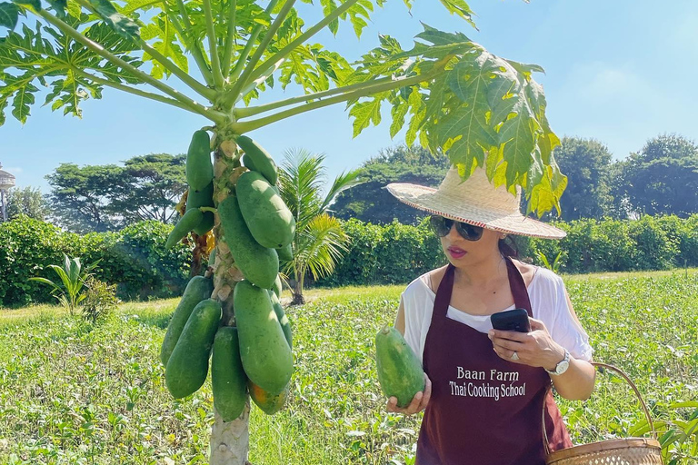 Expérience de cuisine thaïlandaise biologique à Chiang Mai