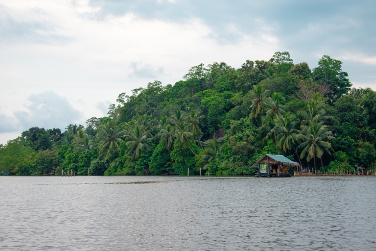 Bentota: Mangrove Lagoon and River Cruise