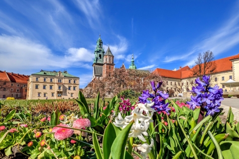 Cracovie : Visite à pied de la vieille ville et du château de WawelVisite de la vieille ville de Cracovie : Payez d'avance