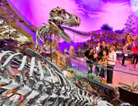 Indianapolis, 3 giorni Indy Attraction Pass - Hizvo