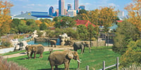 Indianapolis, 3 giorni Indy Attraction Pass - Hizvo