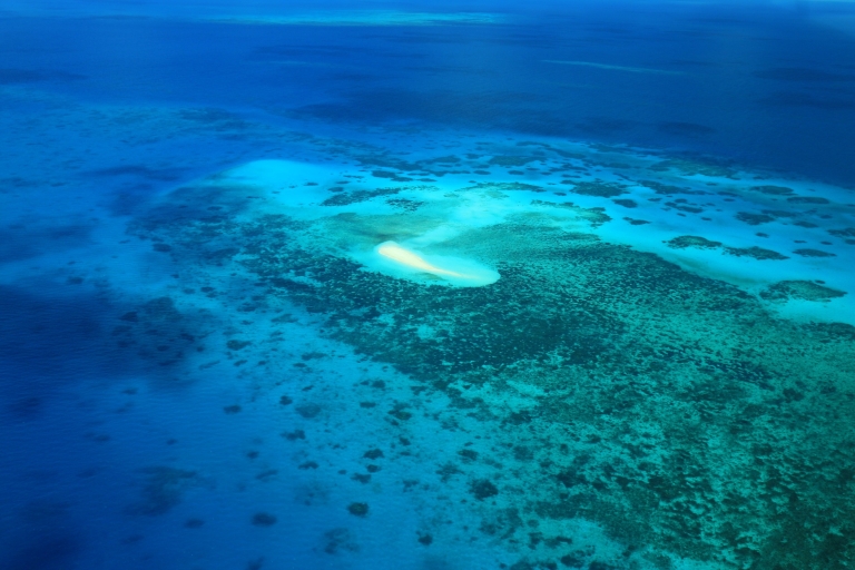 Cairns: 40-minütiger Rundflug über das Great Barrier Reef