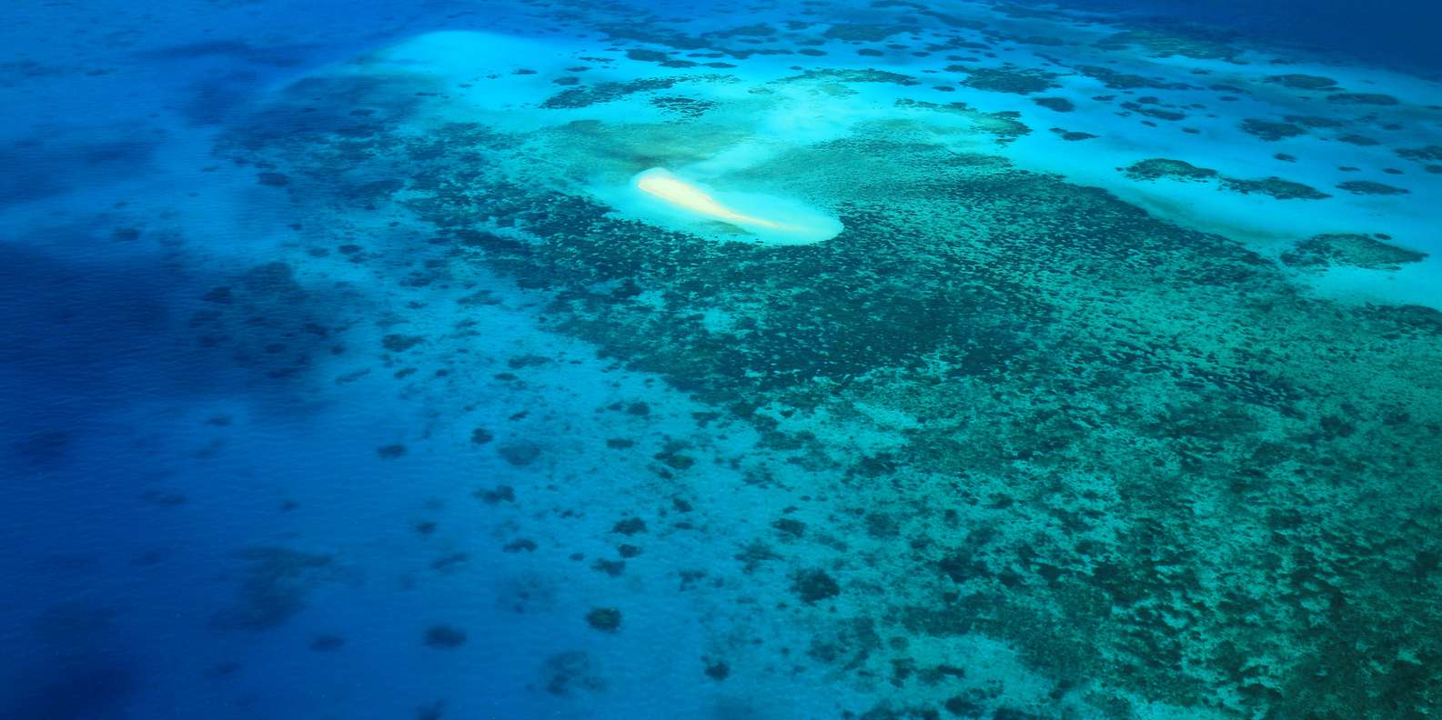Cairns: Outer Edges of The Great Barrier Reef Scenic Flight