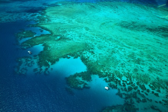 Visit Cairns Outer Edges of The Great Barrier Reef Scenic Flight in Brisbane, Australia