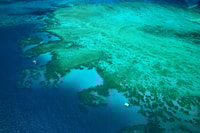 Cairns, Außenkanten des Great Barrier Reef Scenic Flight - Housity