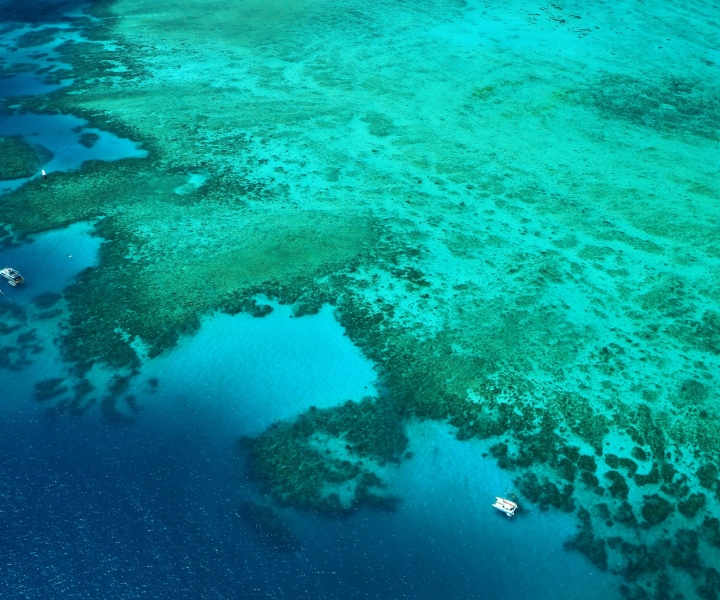 Cairns: Ydre kanter af The Great Barrier Reef Scenic Flight