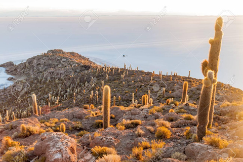 Wycieczka jeepem na wyspę Incahuasi i solnisko Uyuni.