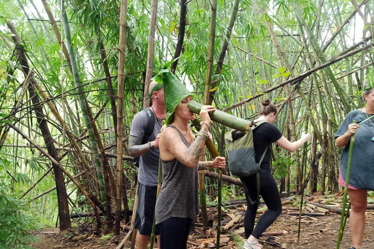 1 Day trekking : Chiang Rai popular activity,Fun in Nature.