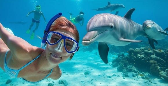 Zanzibar:Mnemba Island Swim With Dolphins, Maldives Day Tour