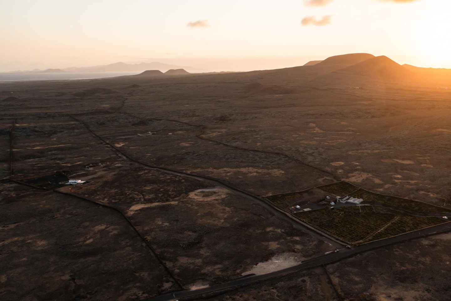 Fuerteventura: Tour & tasting at Conatvs Winery