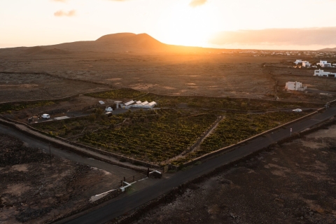 Fuerteventura: Besichtigung der Bodega Conatvs Weinberge mit VerkostungGemeinsame Gruppentour