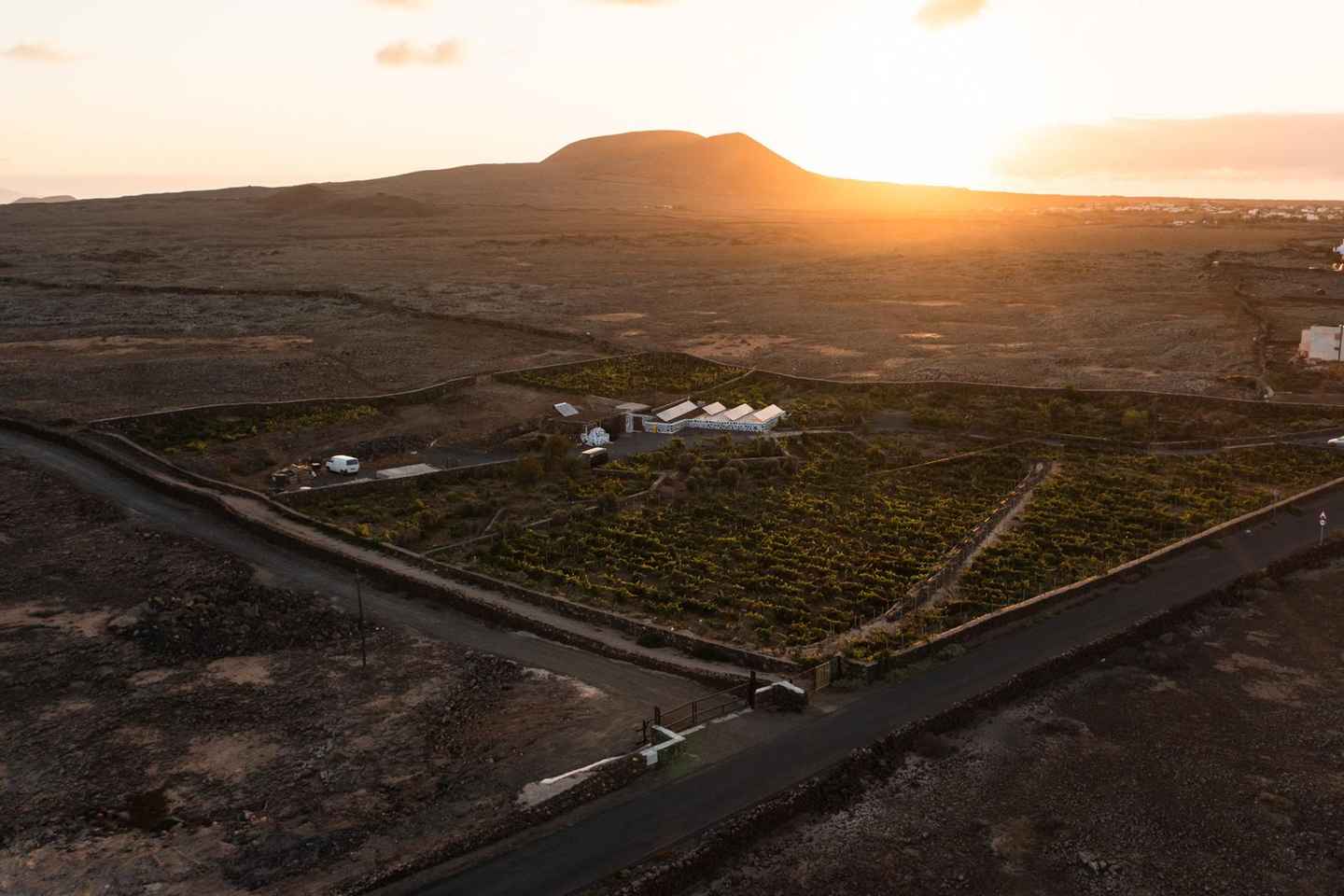 Fuerteventura: Tour der Bodega Conatvs Weingut mit Verkostung