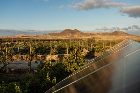 Fuerteventura: rondleiding door de wijngaard van Bodega Conatvs met proeverijGedeelde groepsreis