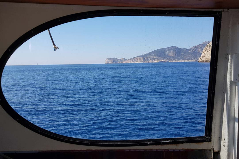 Mallorca: Catamaran kusttocht met lunchVan Portals Nous om 9:52 uur