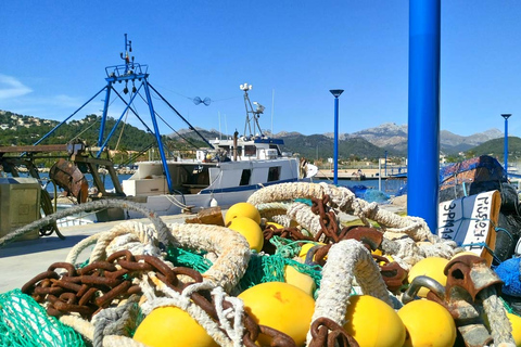 Mallorca: Catamaran kusttocht met lunchVan Portals Nous om 9:52 uur