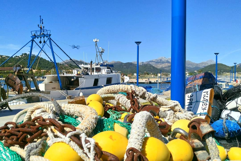 Mallorca: Catamaran kusttocht met lunchVan Portals Nous om 9:52 uur