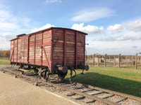 Von Krakau, Auschwitz und Wieliczka Salzmine Tagesausflug - Hizvo