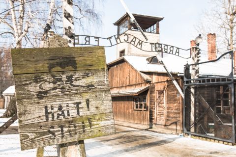 Z Krakowa: całodniowa wycieczka do Auschwitz i Kopalni Soli w Wieliczce