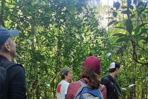 巴厘岛：玛永村徒步之旅