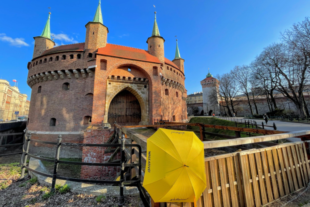 Cracovie : visite à pied de la vieille ville et du château du Wawel en anglais