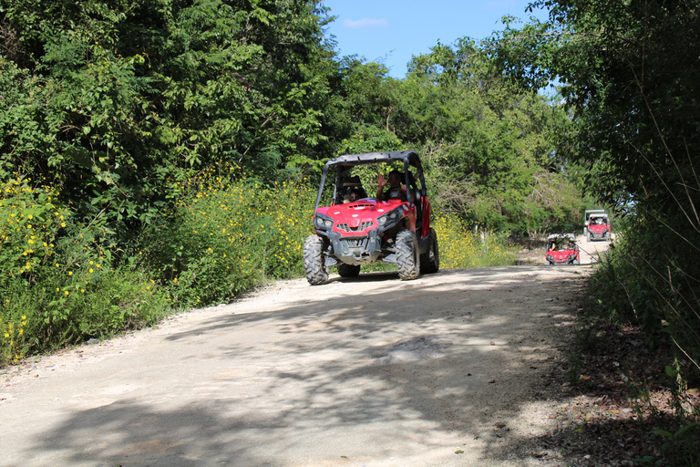 Playa del Carmen: Riviera Maya Buggy Tour with Cenote Swim Riviera Maya Buggy Tour with Cenote Swim