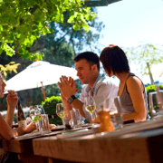 Christchurch: Waipara Wine Trail with Lunch Included