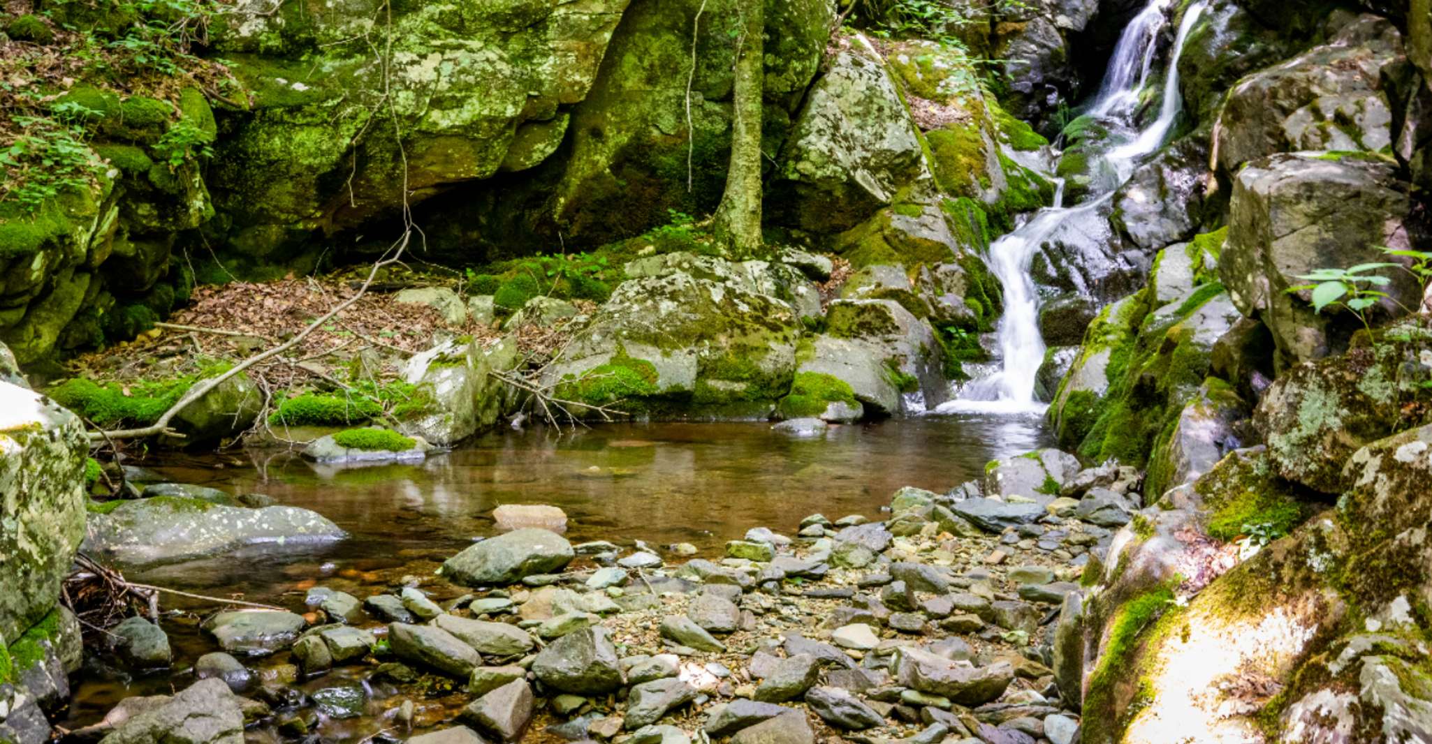 Parc national de Shenandoah, guide audio autonome - Housity