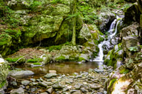 Parc national de Shenandoah, guide audio autonome - Housity