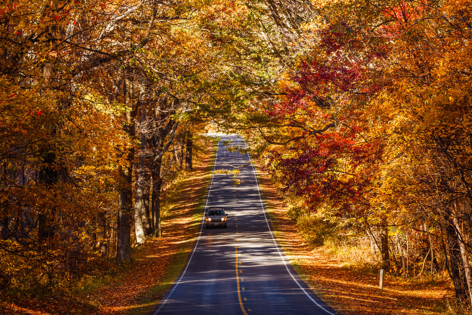 Parc national de Shenandoah, guide audio autonome - Housity