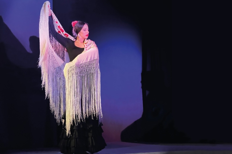Granada: recorrido a pie por el Albaicín y el Sacromonte y espectáculo de flamencogira en ingles
