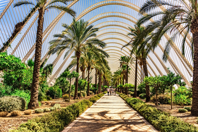 Valencia: Self-Guided Scavenger Hunt and City Walking Tour