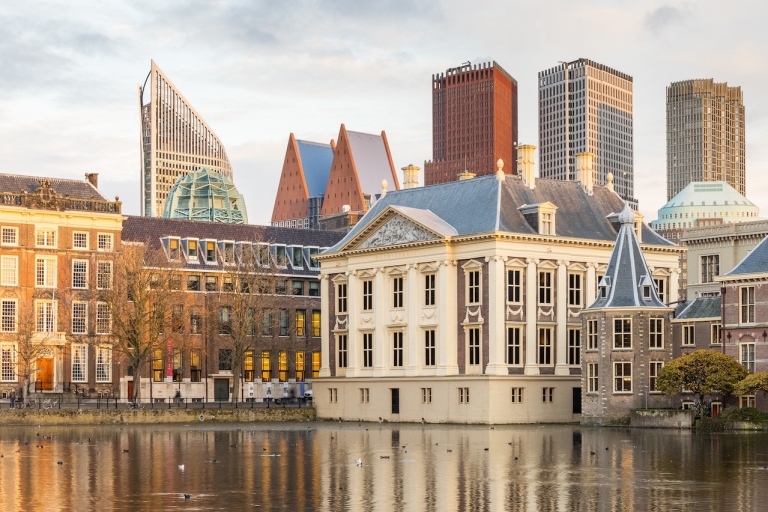La Haye : billet pour la Mauritshuis