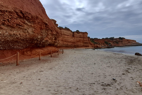 Ibiza Top Spots & Beaches. Customizable Tour with Best Guide