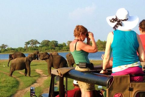 Au départ de Hikkaduwa : Safari dans le parc national d'Udawalawe