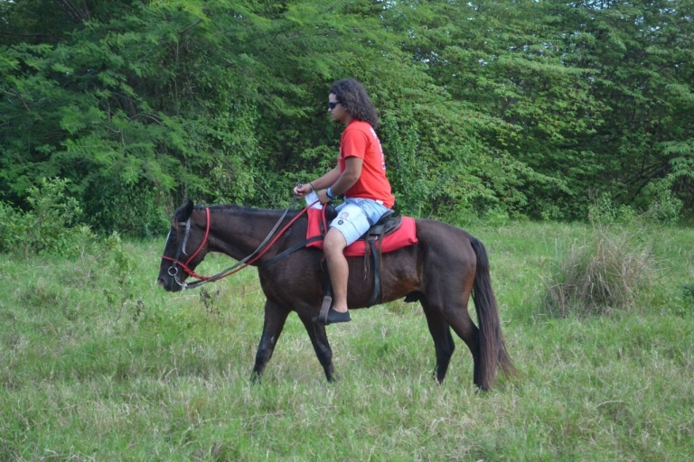 Puerto Plata: Mountain Horse Ride Tour z napojami