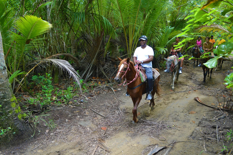 Puerto Plata: Mountain Horse Ride Tour z napojami