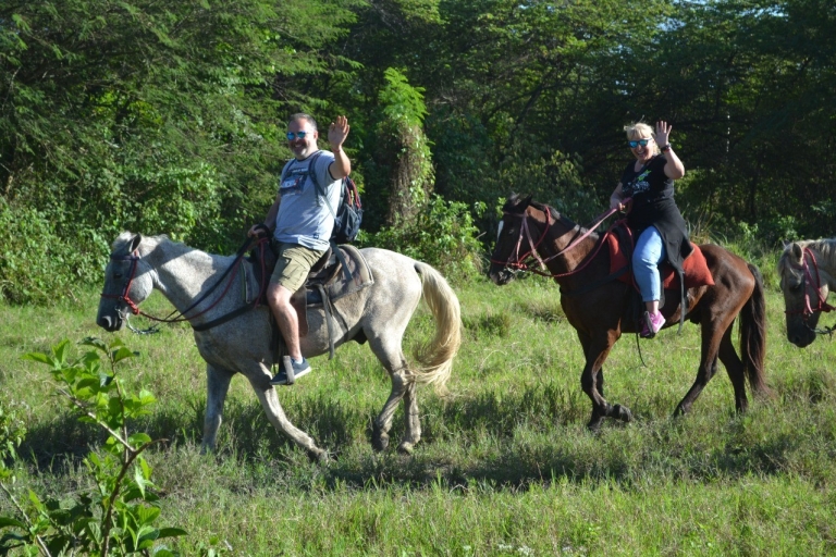 Puerto Plata: Mountain Horse Ride Tour met drankjes