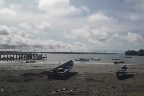 Tour di un giorno per l'avvistamento delle balene da Cali - domenica -