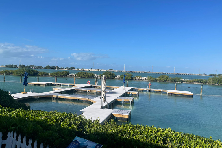 Cayos de Florida: experiencia con delfines en el muelle