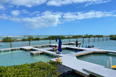 Cayos de Florida: experiencia con delfines en el muelle