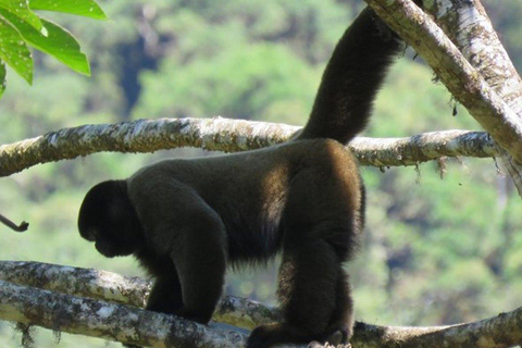 Tour particular à Ilha dos Macacos