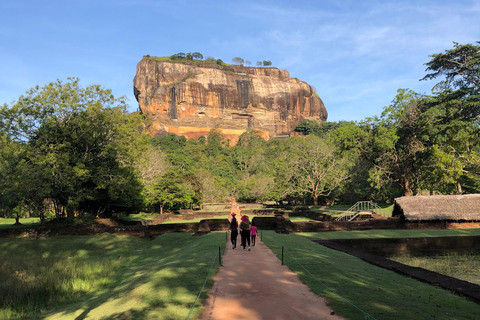 Tour privato di Sigiriya e Dambulla di un giorno interoTour con partenza dalla zona di Bentota/Induruwa