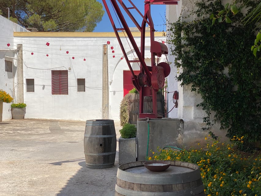 Salento Winery Tour and Tasting GetYourGuide