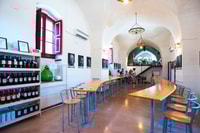 Salento, wijnmakerij tour en proeverij - Housity