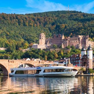 Heidelberg: tour in battello sul fiume Neckarsteinach e audioguida
