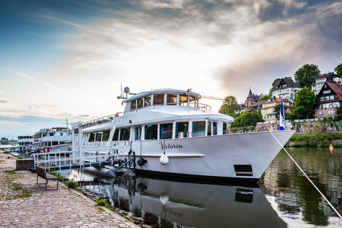 Heidelberg: Cruzeiro turístico pelo rio Neckar com uma bebidaHeidelberg: Cruzeiro turístico no rio Neckar