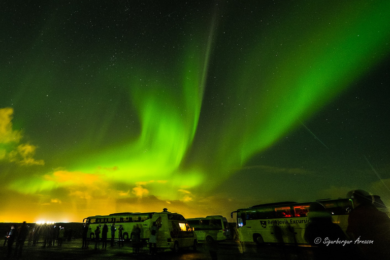 Depuis Reykjavik : nuit d'aurores boréalesVisite en groupe standard avec point de rencontre